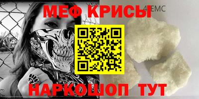 стафф Кингисепп