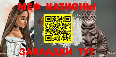 стафф Кингисепп