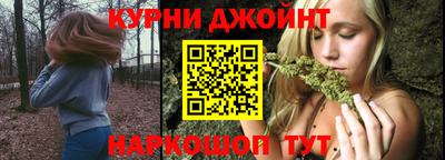 стафф Кингисепп