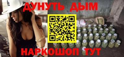 стафф Кингисепп