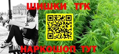 стафф Кингисепп