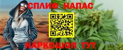 стафф Кингисепп