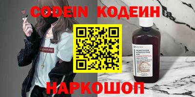 стафф Кингисепп
