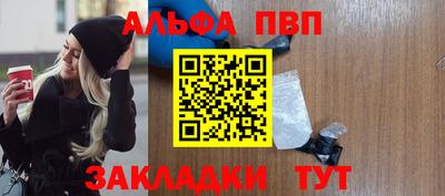стафф Кингисепп