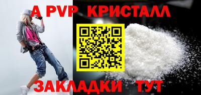 стафф Кингисепп