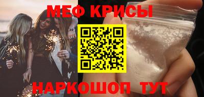 стафф Кингисепп