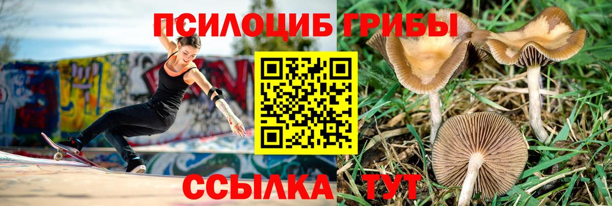 Псилоцибиновые грибы мицелий  Галлюциногенные грибы GOLDEN TEACHER  Красногорск  Вход с VPN 